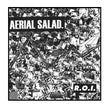 Charger l'image dans la galerie, R.O.I. LP by Aerial Salad for Venn Records at Oi Oi The Shop (1)