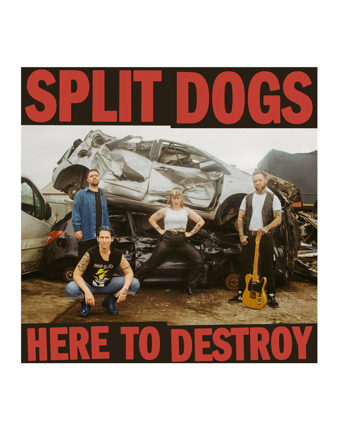 Here to Destroy album by Split Dogs on Venn Records at Oi Oi The Shop